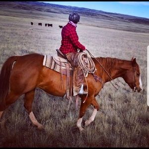 Meet your Posher, Karley